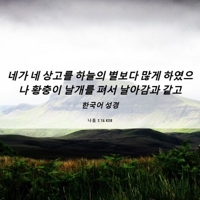 Picture 06 - 나훔 3:16 KOR - 네가 네 상고를 하늘의 별보다 많게 - Bible Verse Picture