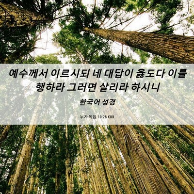 Picture 06 - 누가복음 10:28 KOR - 예수께서 이르시되 네 대답이 옳도다 - Bible Verse Picture