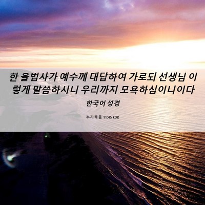 Picture 06 - 누가복음 11:45 KOR - 한 율법사가 예수께 대답하여 가로되 - Bible Verse Picture