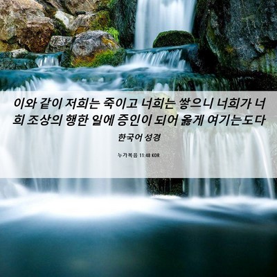 Picture 06 - 누가복음 11:48 KOR - 이와 같이 저희는 죽이고 너희는 - Bible Verse Picture