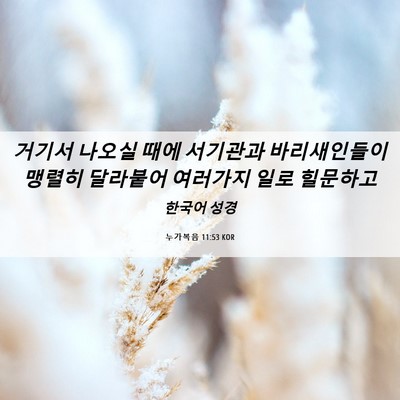 Picture 06 - 누가복음 11:53 KOR - 거기서 나오실 때에 서기관과 - Bible Verse Picture