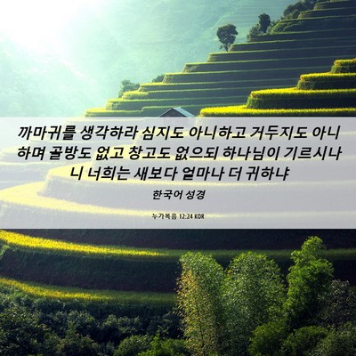 Picture 06 - 누가복음 12:24 KOR - 까마귀를 생각하라 심지도 아니하고 - Bible Verse Picture