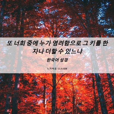 Picture 06 - 누가복음 12:25 KOR - 또 너희 중에 누가 염려함으로 그 - Bible Verse Picture