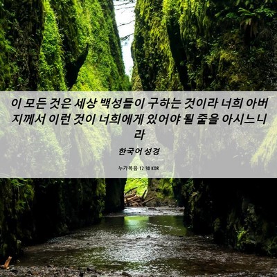 Picture 06 - 누가복음 12:30 KOR - 이 모든 것은 세상 백성들이 구하는 - Bible Verse Picture