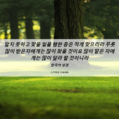 Picture 06 - 누가복음 12:48 KOR - 알지 못하고 맞을 일을 행한 종은 - Bible Verse Picture