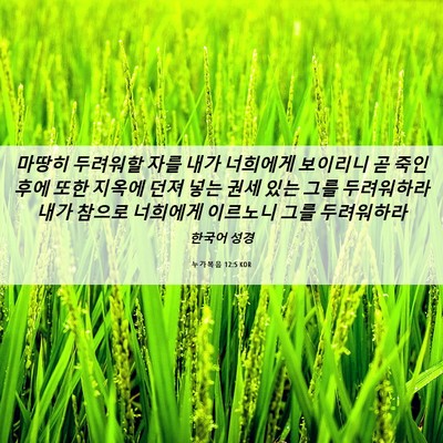 Picture 06 - 누가복음 12:5 KOR - 마땅히 두려워할 자를 내가 너희에게 - Bible Verse Picture