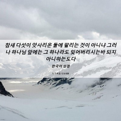 Picture 06 - 누가복음 12:6 KOR - 참새 다섯이 앗사리온 둘에 팔리는 - Bible Verse Picture