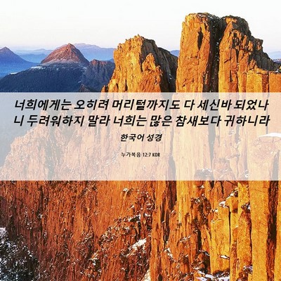 Picture 06 - 누가복음 12:7 KOR - 너희에게는 오히려 머리털까지도 다 - Bible Verse Picture