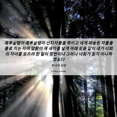 Picture 06 - 누가복음 13:34 KOR - 예루살렘아 예루살렘아 선지자들을 - Bible Verse Picture