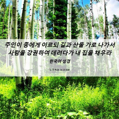 Picture 06 - 누가복음 14:23 KOR - 주인이 종에게 이르되 길과 산울 - Bible Verse Picture
