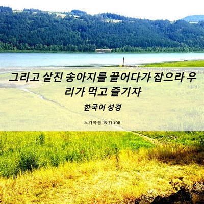 Picture 06 - 누가복음 15:23 KOR - 그리고 살진 송아지를 끌어다가 - Bible Verse Picture