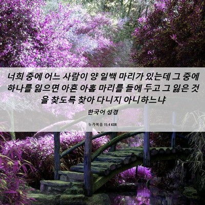 Picture 06 - 누가복음 15:4 KOR - 너희 중에 어느 사람이 양 일백 - Bible Verse Picture