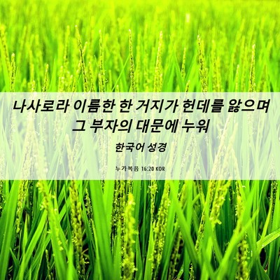 Picture 06 - 누가복음 16:20 KOR - 나사로라 이름한 한 거지가 헌데를 - Bible Verse Picture