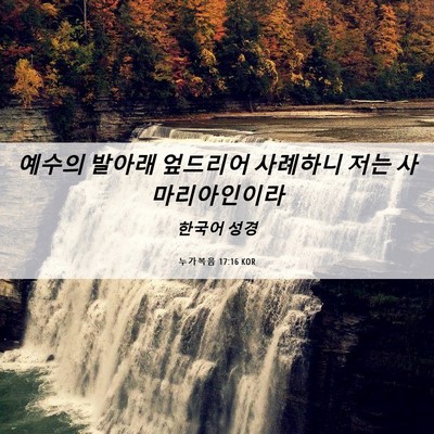 Picture 06 - 누가복음 17:16 KOR - 예수의 발아래 엎드리어 사례하니 - Bible Verse Picture
