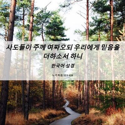 Picture 06 - 누가복음 17:5 KOR - 사도들이 주께 여짜오되 우리에게 - Bible Verse Picture