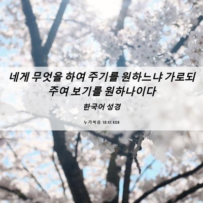 Picture 06 - 누가복음 18:41 KOR - 네게 무엇을 하여 주기를 원하느냐 - Bible Verse Picture