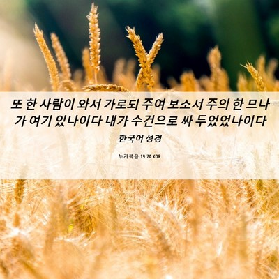 Picture 06 - 누가복음 19:20 KOR - 또 한 사람이 와서 가로되 주여 - Bible Verse Picture