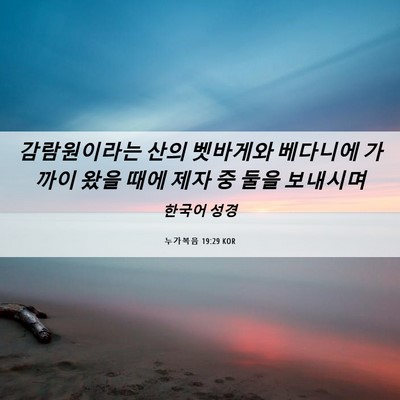 Picture 06 - 누가복음 19:29 KOR - 감람원이라는 산의 벳바게와 - Bible Verse Picture