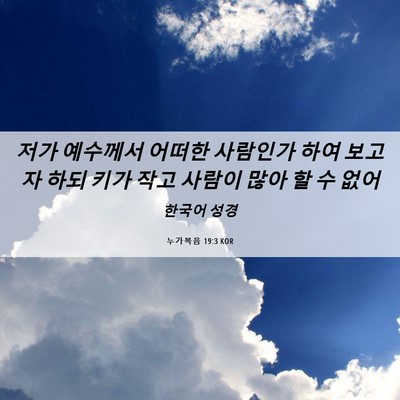 Picture 06 - 누가복음 19:3 KOR - 저가 예수께서 어떠한 사람인가 하여 - Bible Verse Picture