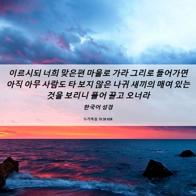 Picture 06 - 누가복음 19:30 KOR - 이르시되 너희 맞은편 마을로 가라 - Bible Verse Picture