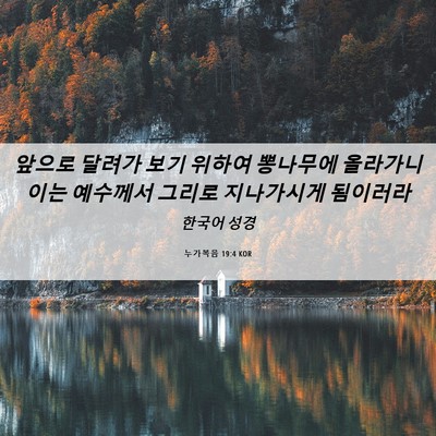 Picture 06 - 누가복음 19:4 KOR - 앞으로 달려가 보기 위하여 뽕나무에 - Bible Verse Picture