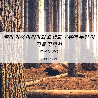 Picture 06 - 누가복음 2:16 KOR - 빨리 가서 마리아와 요셉과 구유에 - Bible Verse Picture