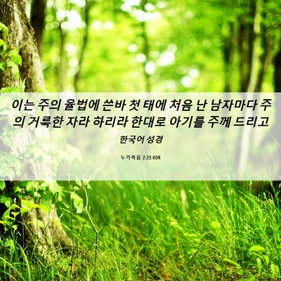Picture 06 - 누가복음 2:23 KOR - 이는 주의 율법에 쓴바 첫 태에 처음 - Bible Verse Picture