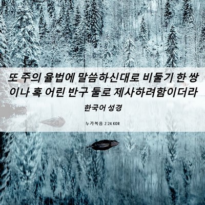 Picture 06 - 누가복음 2:24 KOR - 또 주의 율법에 말씀하신대로 비둘기 - Bible Verse Picture