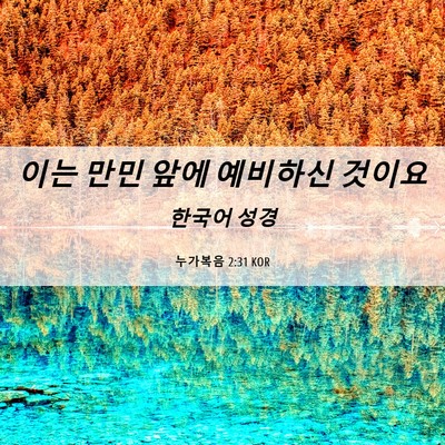 Picture 06 - 누가복음 2:31 KOR - 이는 만민 앞에 예비하신 - Bible Verse Picture