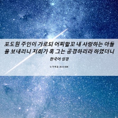 Picture 06 - 누가복음 20:13 KOR - 포도원 주인이 가로되 어찌할꼬 내 - Bible Verse Picture
