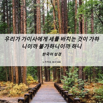 Picture 06 - 누가복음 20:22 KOR - 우리가 가이사에게 세를 바치는 것이 - Bible Verse Picture