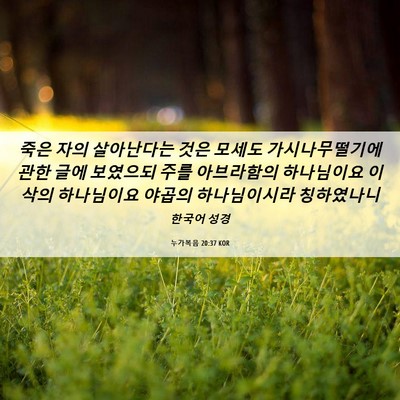 Picture 06 - 누가복음 20:37 KOR - 죽은 자의 살아난다는 것은 모세도 - Bible Verse Picture