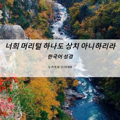 Picture 06 - 누가복음 21:18 KOR - 너희 머리털 하나도 상치 - Bible Verse Picture