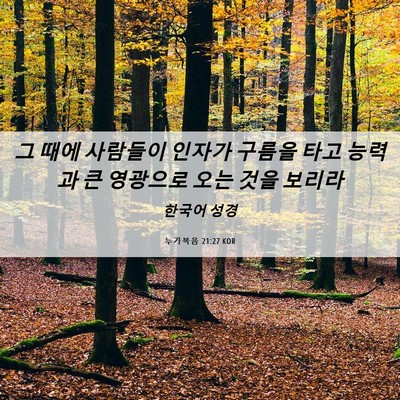 Picture 06 - 누가복음 21:27 KOR - 그 때에 사람들이 인자가 구름을 - Bible Verse Picture