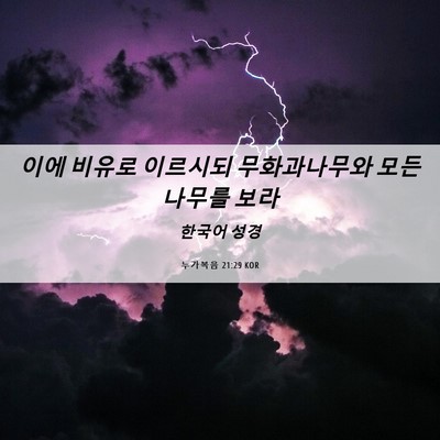 Picture 06 - 누가복음 21:29 KOR - 이에 비유로 이르시되 무화과나무와 - Bible Verse Picture