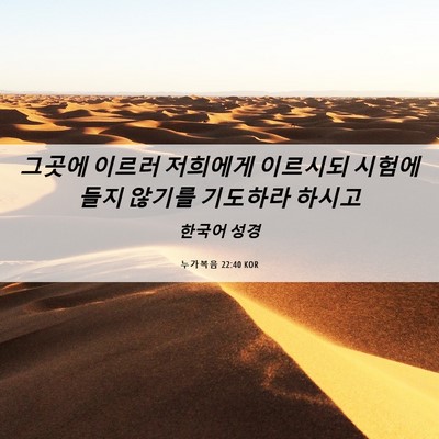 Picture 06 - 누가복음 22:40 KOR - 그곳에 이르러 저희에게 이르시되 - Bible Verse Picture