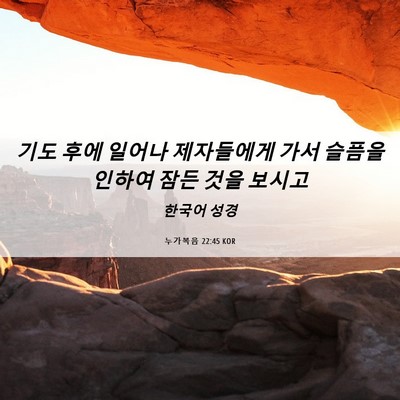 Picture 06 - 누가복음 22:45 KOR - 기도 후에 일어나 제자들에게 가서 - Bible Verse Picture
