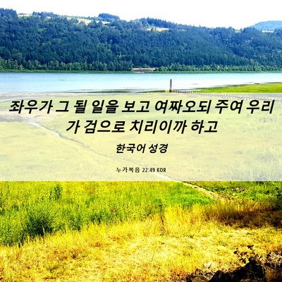 Picture 06 - 누가복음 22:49 KOR - 좌우가 그 될 일을 보고 여짜오되 - Bible Verse Picture
