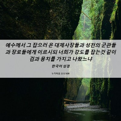 Picture 06 - 누가복음 22:52 KOR - 예수께서 그 잡으러 온 대제사장들과 - Bible Verse Picture
