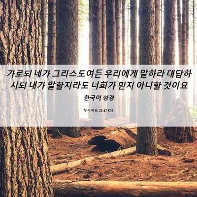 Picture 06 - 누가복음 22:67 KOR - 가로되 네가 그리스도여든 우리에게 - Bible Verse Picture