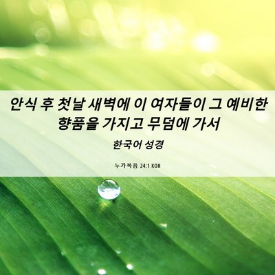 Picture 06 - 누가복음 24:1 KOR - 안식 후 첫날 새벽에 이 여자들이 그 - Bible Verse Picture