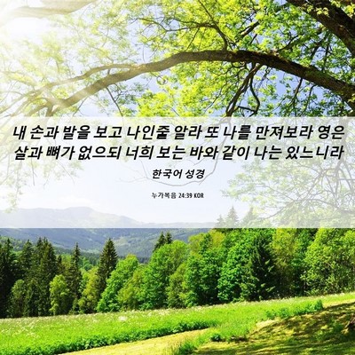 Picture 06 - 누가복음 24:39 KOR - 내 손과 발을 보고 나인줄 알라 또 - Bible Verse Picture