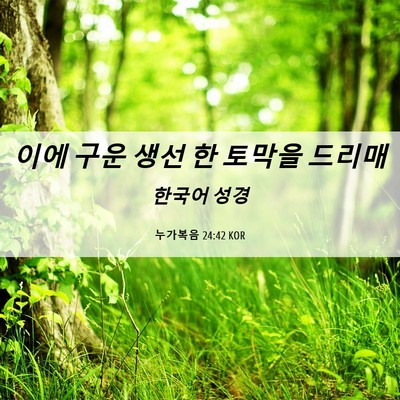 Picture 06 - 누가복음 24:42 KOR - 이에 구운 생선 한 토막을 - Bible Verse Picture