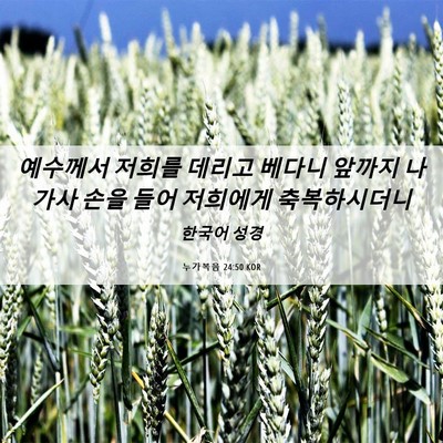 Picture 06 - 누가복음 24:50 KOR - 예수께서 저희를 데리고 베다니 - Bible Verse Picture