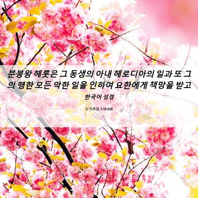 Picture 06 - 누가복음 3:19 KOR - 분봉왕 헤롯은 그 동생의 아내 - Bible Verse Picture