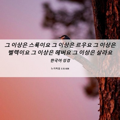 Picture 06 - 누가복음 3:35 KOR - 그 이상은 스룩이요 그 이상은 - Bible Verse Picture