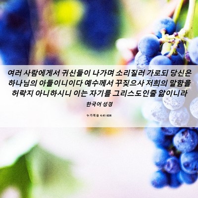 Picture 06 - 누가복음 4:41 KOR - 여러 사람에게서 귀신들이 나가며 - Bible Verse Picture