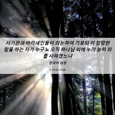 Picture 06 - 누가복음 5:21 KOR - 서기관과 바리새인들이 의논하여 - Bible Verse Picture