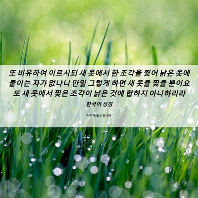 Picture 06 - 누가복음 5:36 KOR - 또 비유하여 이르시되 새 옷에서 한 - Bible Verse Picture