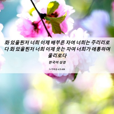 Picture 06 - 누가복음 6:25 KOR - 화 있을찐저 너희 이제 배부른 자여 - Bible Verse Picture